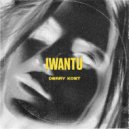 Derry Kost - IWANTU (Extended Mix)