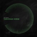 Amir Atabak - Turkoman Horse ()