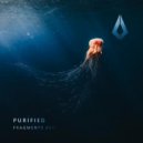 birø - Lost It All (Extended Mix)