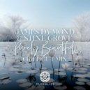 Stine Grove & James Dymond - Purely Beautiful (Chill Out Mix)