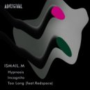 ISMAIL.M feat. Redspace - Too Long