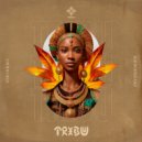 Who Is Kiks, KIII RODRÍGUEZ - Tribu (Original Mix)