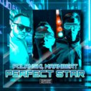 Polanski, Maanbeat - Perfect Star (Original Mix)