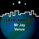 Mr Jay - Venus (Original Mix)