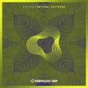 Sofinski - Natural Patterns (Extended Mix)