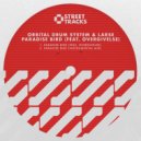 Orbital Drum System & Larse feat. Overgivelse - Paradise Bird