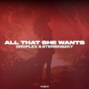 Droplex & Sterbinszky - All That She Wants