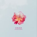 Annuki & Gritsey - Colour (Edit)