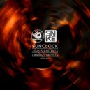 Mr D Musiique, Apollo Soule - Stones & Bones (Original Mix)