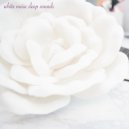 White Noise Sleep Sounds & Sleep Sound Library - Wave Sounds - Loopable With No Fade ()