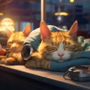 Aesthetic Music & Zadbeatz & IzaBeats - Gentle Pet Lofi Harmony ()
