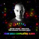 Britney Spears - Work Bitch (Mor Avrahami Tech House Remix)