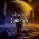 Rod Notario - Unknown