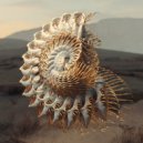 Innellea, Colyn, Braev - Downfall (Extended Mix)