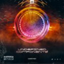 N-Expected - When is Love (Original Mix)
