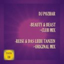 DJ Pozhar - Reise & Das Liebe Tanzen (Original Mix)