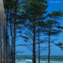 Hic et Nunc - Galvanized (Original Mix)
