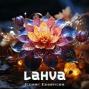 Lahva (NL) - Flower Essences (Night Edit)