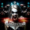 Another Freak - Stranger Sound 303 (Original Mix)