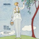 Moe Turk - Emotional Healing (Soire Remix)