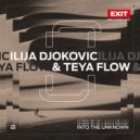 Ilija Djokovic, Teya Flow - Into The Unknown