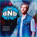T.R.E. - dNb Compilation (2)