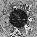 Fcode - Shape