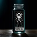 Starlight Junkies - Moonshine ()
