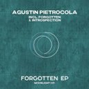 Agustin Pietrocola - Forgotten (Original Mix)