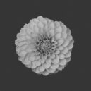 Yard One - One Day (Ocean Lam Remix)