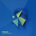 N1NJA - A Perfect Storm
