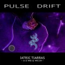 Pulse Drift - Schumann\'s 3rd Delta ()