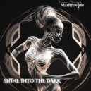 Mantravine - Shine Into The Dark ()