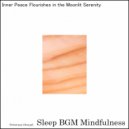 Sleep BGM Mindfulness - Dreamy Embrace of Neural Rhythms (Original Mix)
