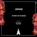 AMAD - Storm of Echoes (Teri Berka Remix)