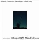 Sleep BGM Mindfulness - Embracing Silence in a Space of Deep Healing and Peace (Original Mix)