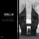 Ustyuzhanin Zhenya - The Star Queen (Original Mix)