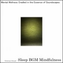 Sleep BGM Mindfulness - Homeostasis Echoes Harmonizing with Autonomic Nerves (Original Mix)