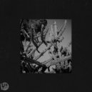 Tuccillo - Cactus Gift (Original Mix)