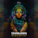 Shaman - Aboriginal Shamanizem (Original Mix)