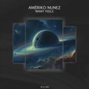 Ameriko Nunez - Many Feels (Original Mix)