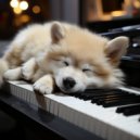 Ritmos de hip-hop de Lofi & Lluvia de Lofi & Música Para Dormir A Los Perros - Melodías De Lofi Calmantes Para Perros