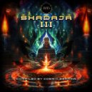 Cosmic Brahma - Sacred Grooves (Original Mix)