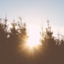 serezhadelal - rays of sun ()