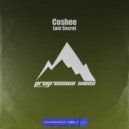 Coshee - Lost Secret (Original Mix)