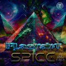 Flagrant - Spice (Original Mix)
