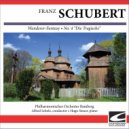 Hugo Steurer - Schubert - Wanderer-Fantasy in C major Op. 15 - Allegro con fuoco ma non troppo - Adagio - Presto - Allegro