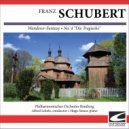 Philharmonisches Orchester Bamberg - Schubert - Symphony No. 4 in C minor - Allegro vivace ()