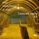 Riflid & Alexey Polunin & DJ OleG - Concrete Stairs (Alexey Polunin Remix)
