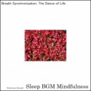 Sleep BGM Mindfulness - Serotonin Streams Melding with Emotional Landscapes of Recovery